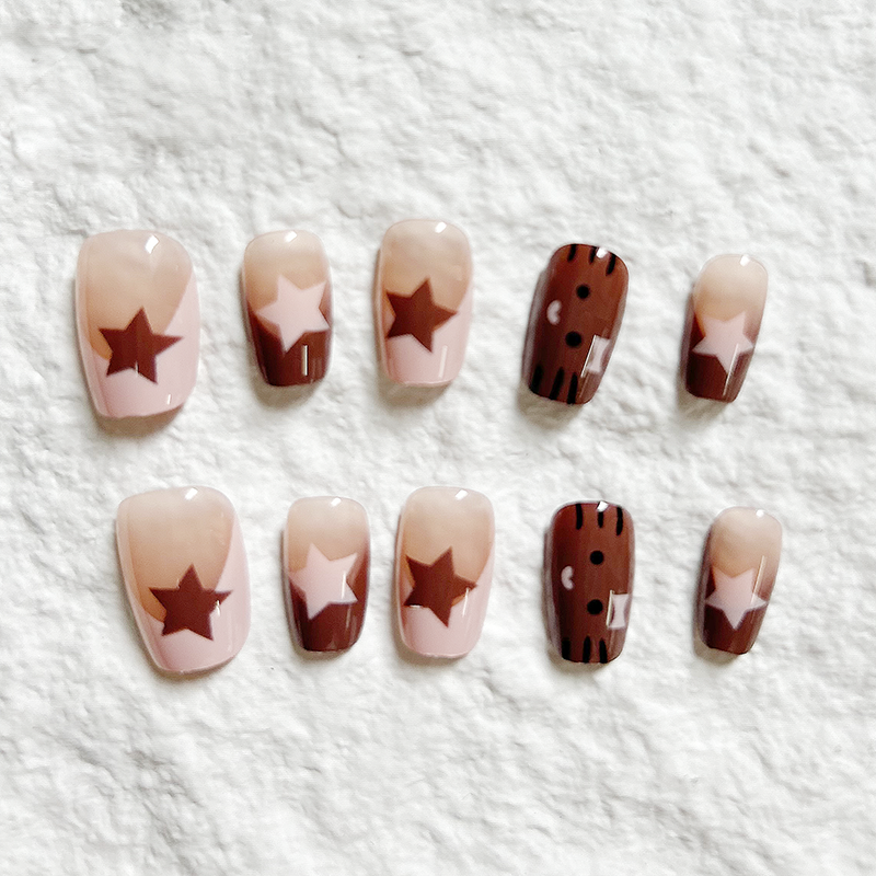 10pcs AB style small star hand-painted five pointed star mandarin duck French embellishment ins style retro Press On Nails